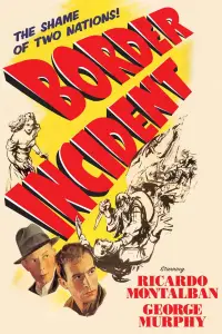 Poster to the movie "Border Incident" #1081288