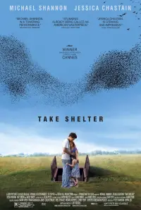 Poster to the movie "Take Shelter" #985739