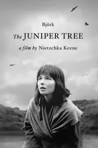 Poster to the movie "The Juniper Tree" #985846