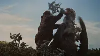 Backdrop to the movie "King Kong vs. Godzilla" #712333