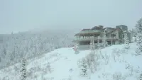 Backdrop to the movie "Mountainhead" #775164