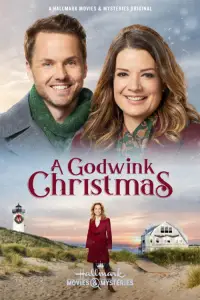 Poster to the movie "A Godwink Christmas" #1109864