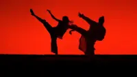 Backdrop to the movie "Kill Bill: Vol. 2" #741499