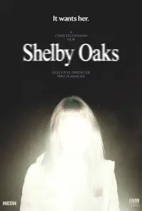 Poster to the movie "Shelby Oaks" #1003998