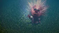 Backdrop to the movie "Chicken Little" #701403