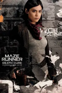 Poster to the movie "Maze Runner: The Death Cure" #803933