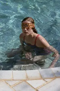 Poster to the movie "Dogtooth" #802009