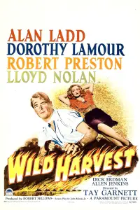 Poster to the movie "Wild Harvest" #1168830