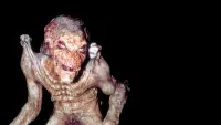 Backdrop to the movie "Pumpkinhead" #735467