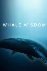 Poster to the movie "Whale Wisdom" #1165856