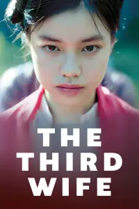 Poster to the movie "The Third Wife" #1128020