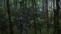 Backdrop to the movie "Annihilation" #711592
