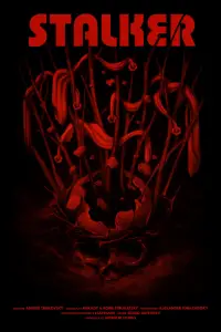 Poster to the movie "Stalker" #734169