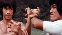 Backdrop to the movie "The Clones of Bruce Lee" #728462