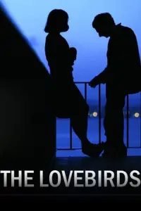Poster to the movie "The Lovebirds" #1086069