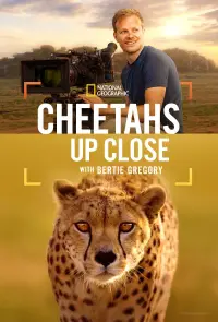 Poster to the movie "Cheetahs Up Close with Bertie Gregory" #1158823