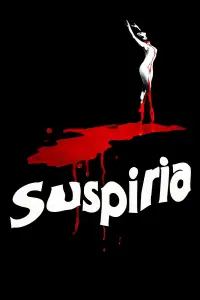 Poster to the movie "Suspiria" #953445