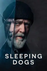 Poster to the movie "Sleeping Dogs" #947388