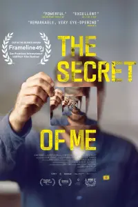 Poster to the movie "The Secret of Me" #607594
