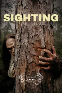 Poster to the movie "Sighting" #1065595