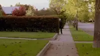 Backdrop to the movie "Halloween" #900906