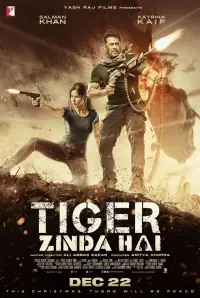 Poster to the movie "Tiger Zinda Hai" #1035175