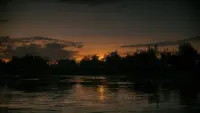 Backdrop to the movie "Sinners" #788805