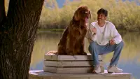 Backdrop to the movie "Khushi" #733967