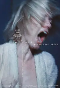Poster to the movie "Mulholland Drive" #608827