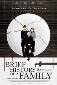 Poster to the movie "Brief History of a Family" #911695