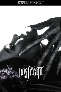 Poster to the movie "Nosferatu" #905136