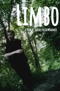 Poster to the movie "Limbo" #606055