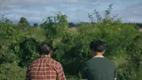 Backdrop to the movie "Olsen