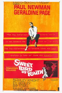 Poster to the movie "Sweet Bird of Youth" #963697
