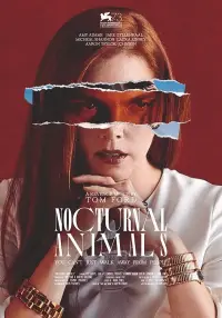 Poster to the movie "Nocturnal Animals" #950846