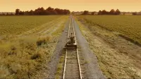 Backdrop to the movie "O Brother, Where Art Thou?" #856106