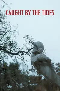 Poster to the movie "Caught by the Tides" #612009