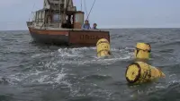Backdrop to the movie "Jaws" #815587
