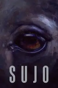 Poster to the movie "Sujo" #740488