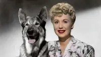 Backdrop to the movie "The Return of Rin Tin Tin" #733359