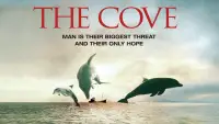 Backdrop to the movie "The Cove" #988482