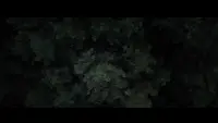 Backdrop to the movie "Don