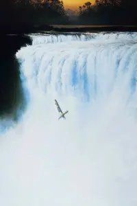 Poster to the movie "The Mission" #802157