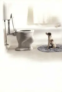 My Dog Skip