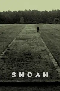 Poster to the movie "Shoah" #1086985