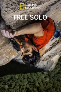 Poster to the movie "Free Solo" #957909