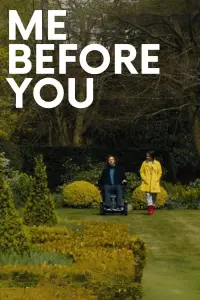 Poster to the movie "Me Before You" #915447