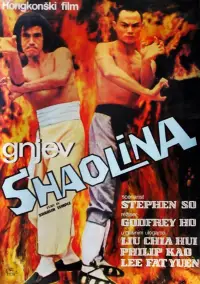 Poster to the movie "Fury in Shaolin Temple" #1193027