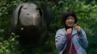 Backdrop to the movie "Okja" #701492