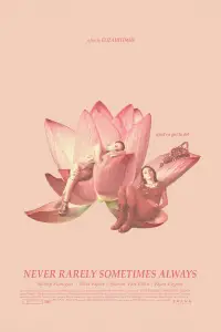 Poster to the movie "Never Rarely Sometimes Always" #1043995